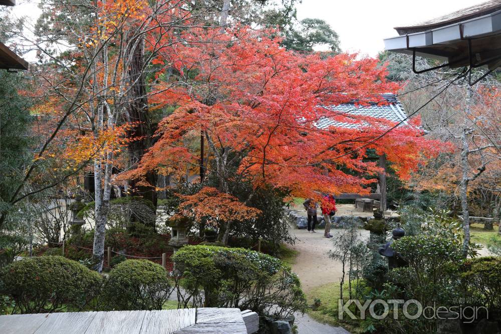 西明寺 境内紅葉②