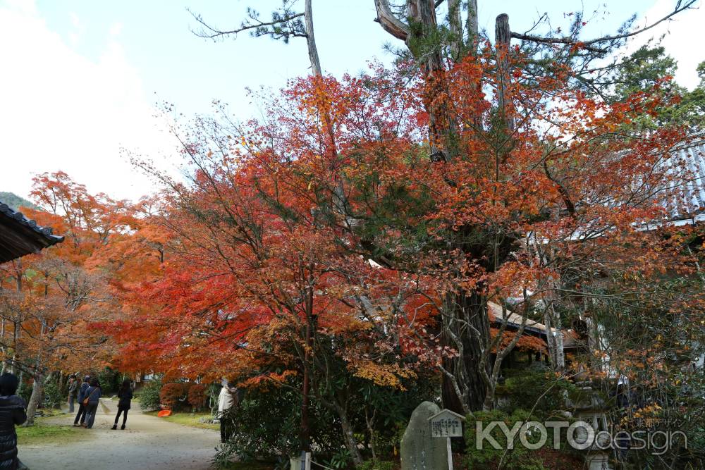 西明寺 境内紅葉②