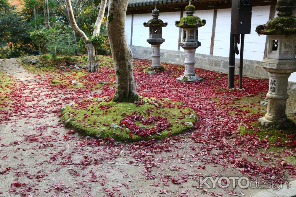 西明寺 散落葉