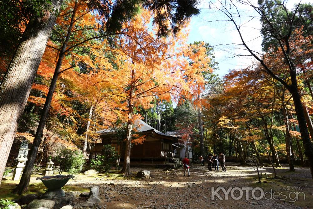 高山寺 境内