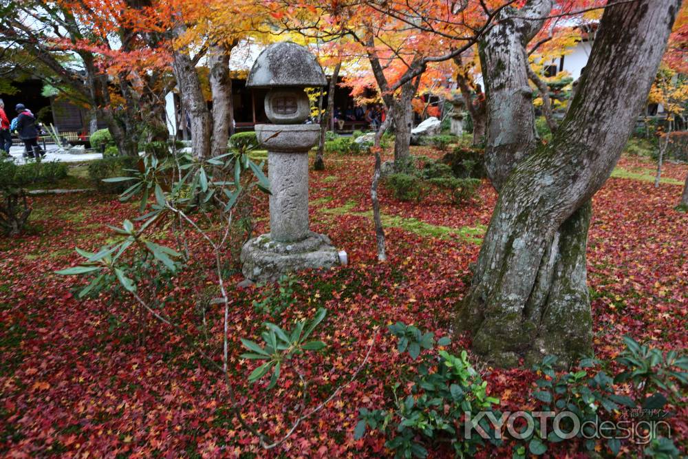 圓光寺 十牛之庭