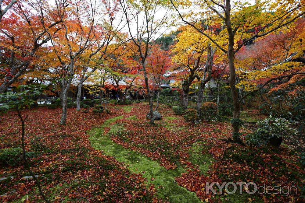 圓光寺 十牛之庭