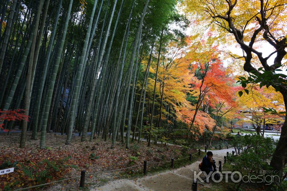 圓光寺 十牛之庭