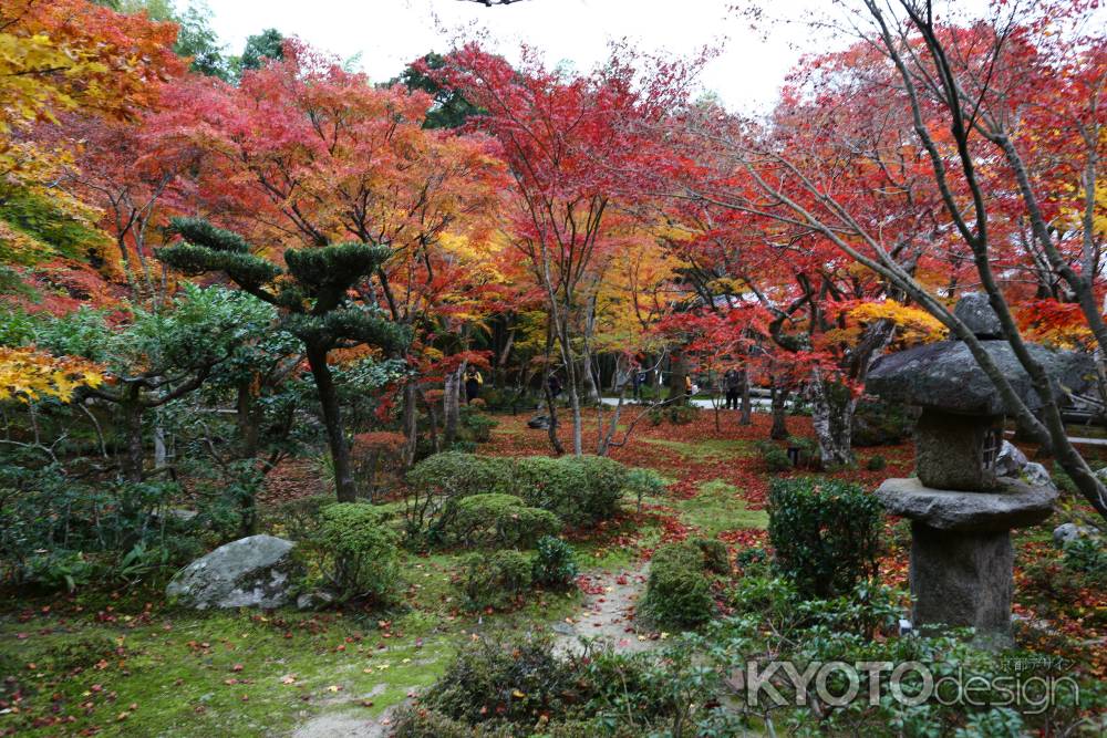 圓光寺 十牛之庭