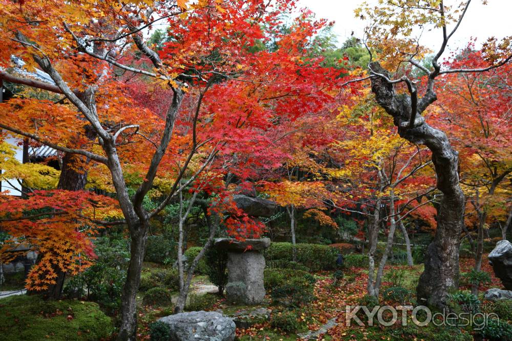 圓光寺 十牛之庭