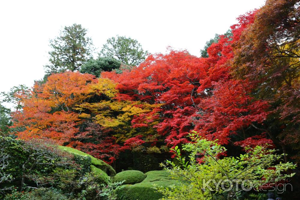 詩仙堂の紅葉②