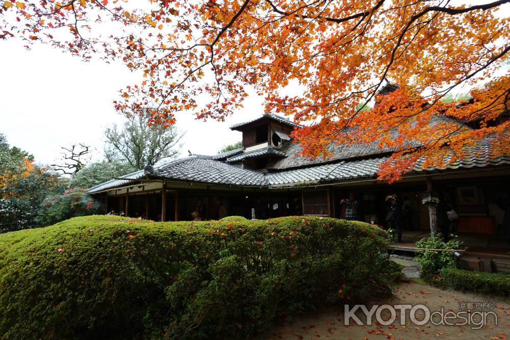 詩仙堂 蕭月桜と紅葉