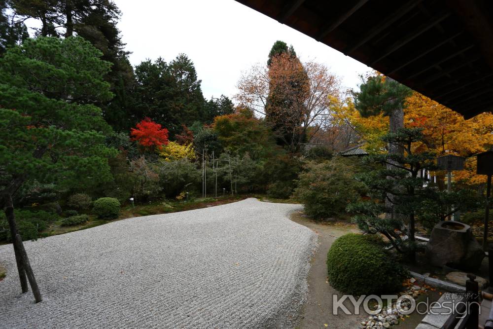 曼殊院門跡 庭園と紅葉①