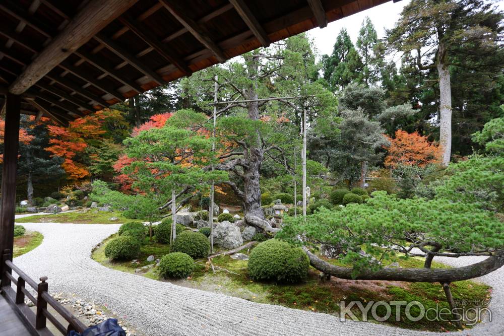 曼殊院門跡 庭園と紅葉②