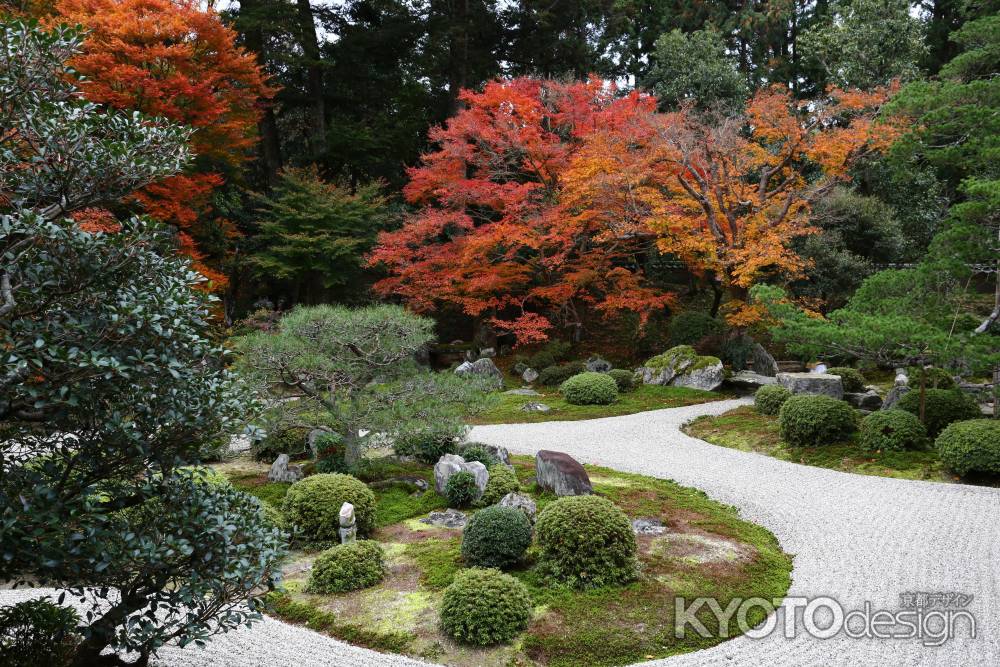 曼殊院門跡 庭園と紅葉④