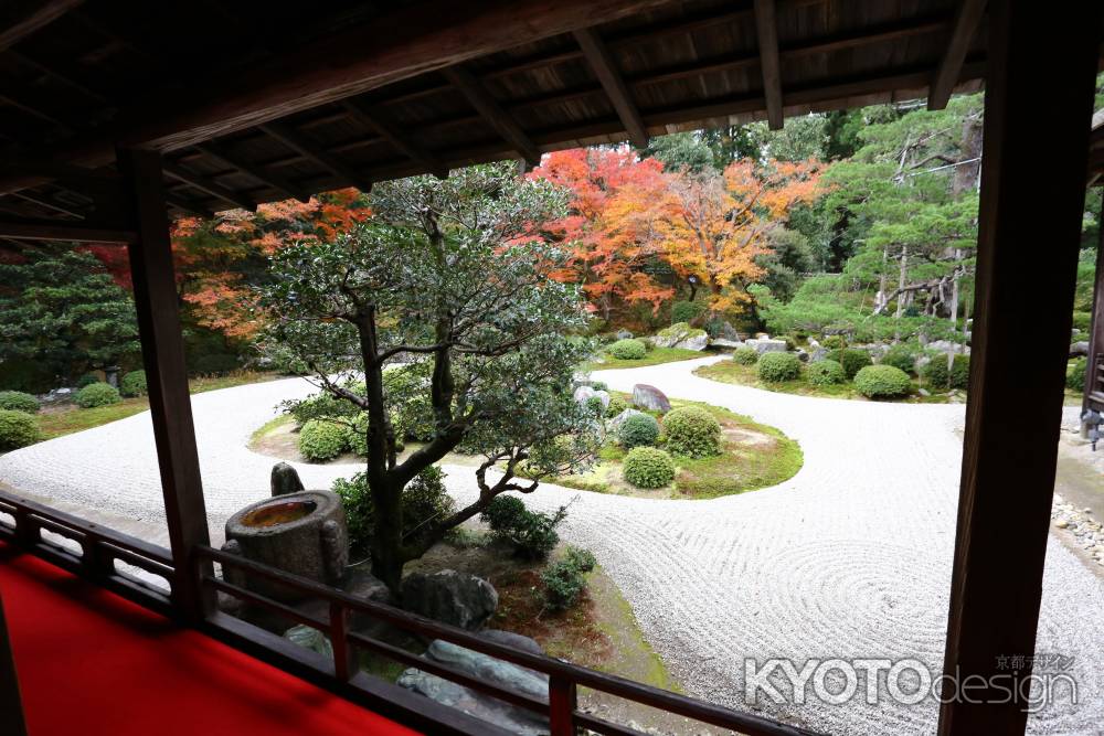 曼殊院門跡 庭園と紅葉⑤