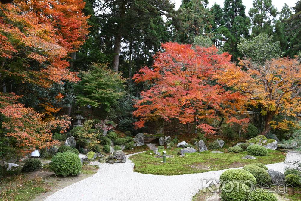 曼殊院門跡 庭園と紅葉⑦