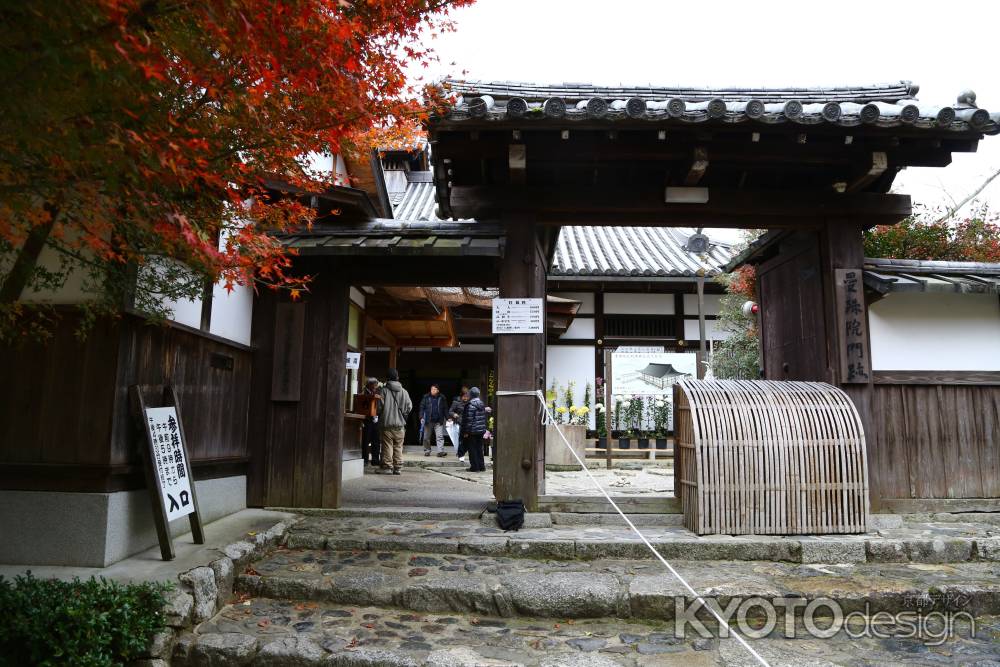 曼殊院門跡 山門と紅葉