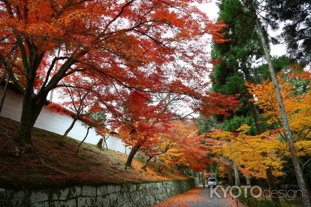 曼殊院門跡の紅葉①