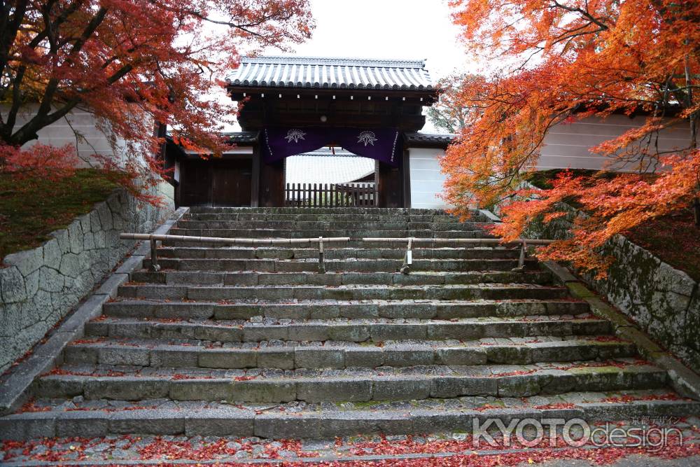 曼殊院門跡 勅使門