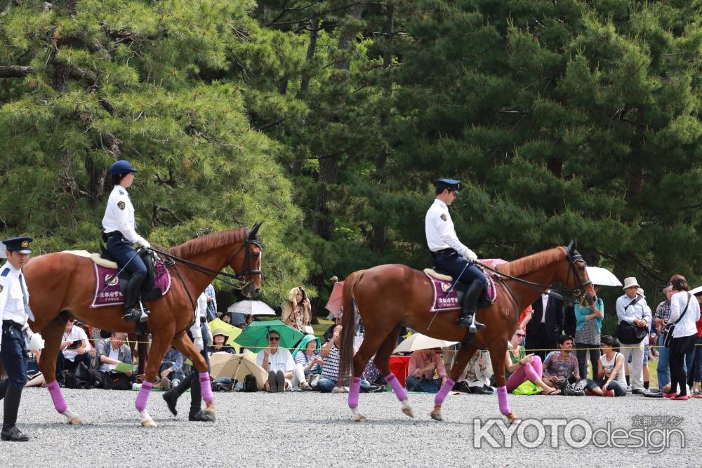 2015 葵祭すべて①