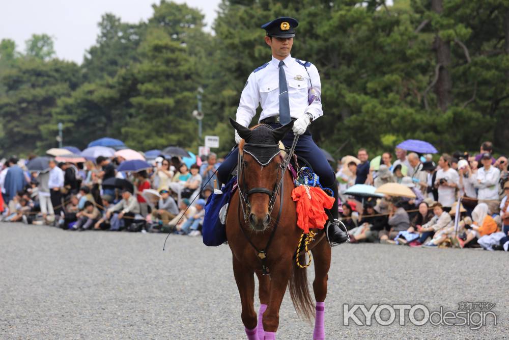 2015葵祭すべて②