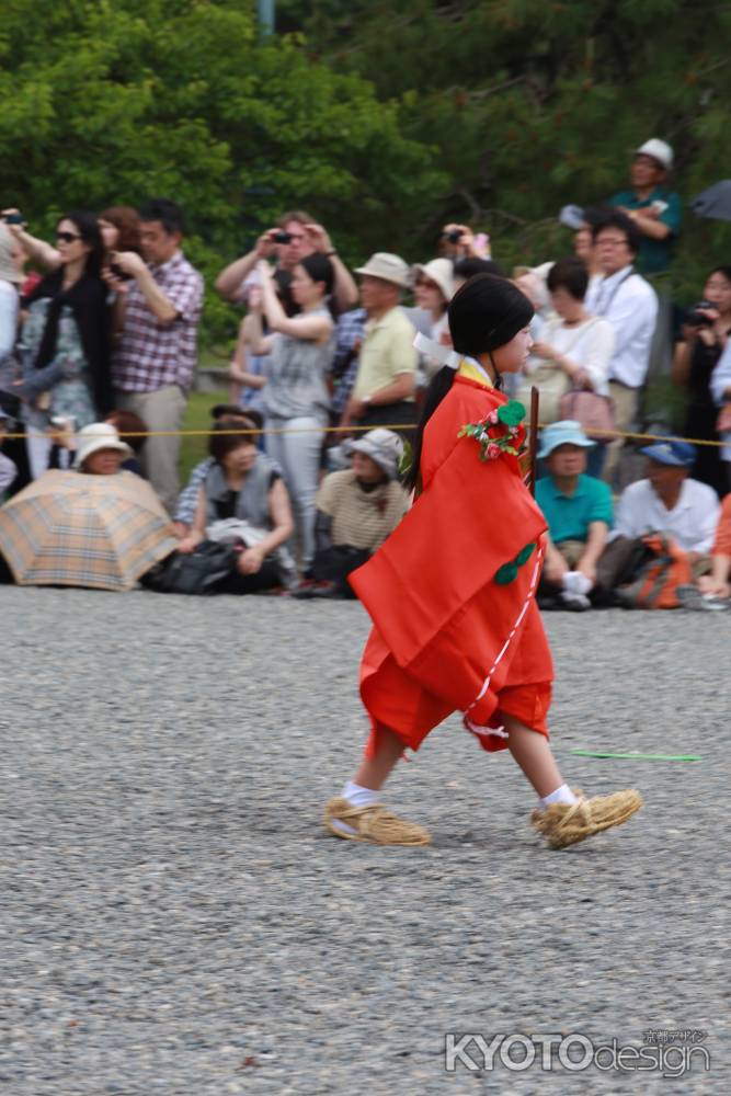 2015葵祭すべて50