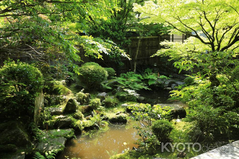 宝泉院 鶴亀庭園