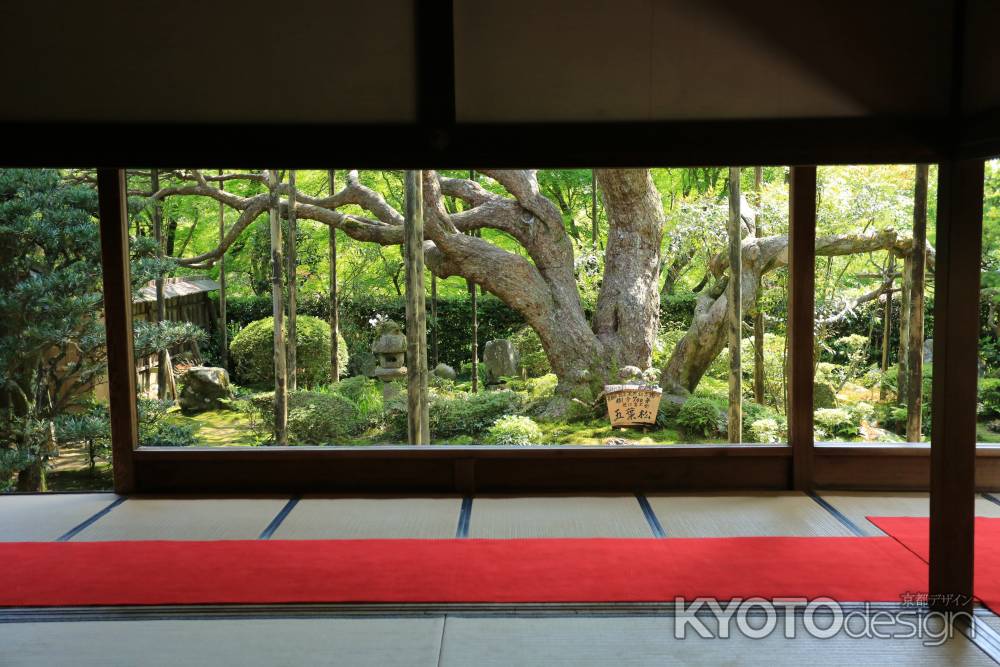 大原 宝泉院 額縁庭園