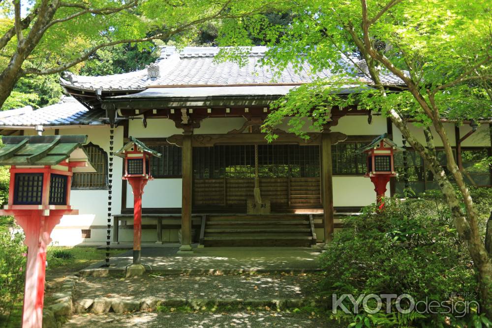 琳派400年鷹ヶ峰散策 常照寺4