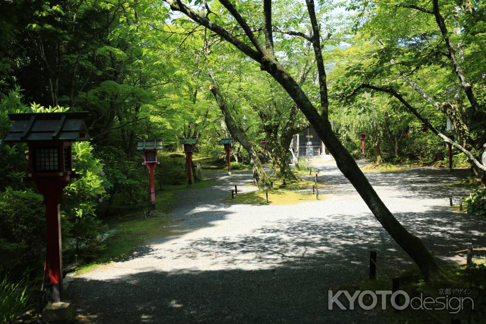 琳派400年鷹ヶ峰散策 常照寺6