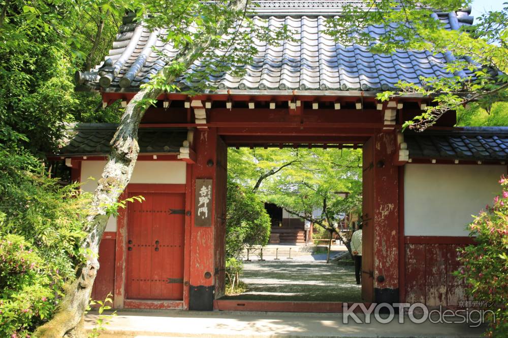 琳派400年鷹ヶ峰散策 常照寺11