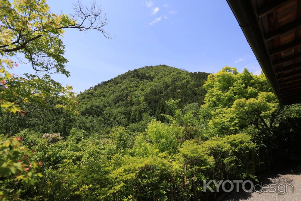 琳派400年鷹ヶ峰散策 光悦寺