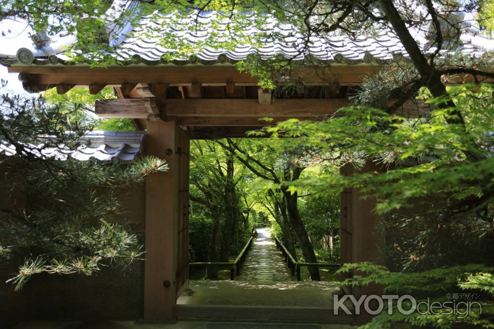 琳派400年鷹ヶ峰散策 光悦寺12