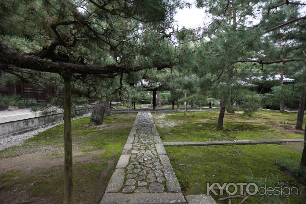 大徳寺 法堂から仏殿へ