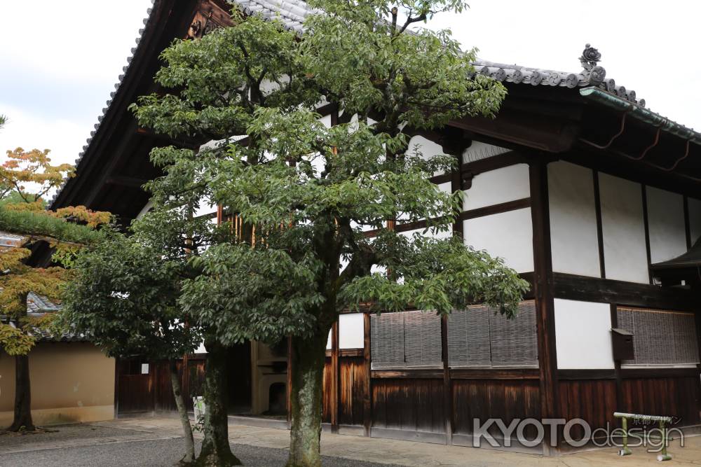 大徳寺 庫裏