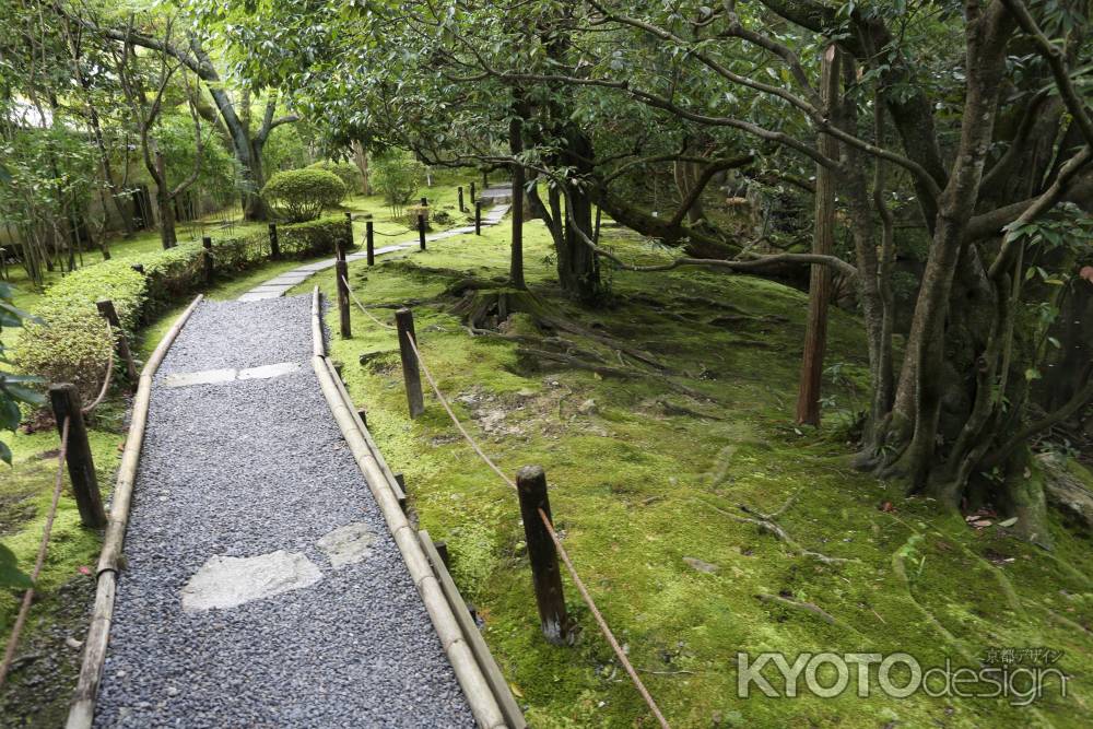 金地院 東照宮へ