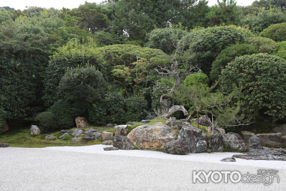 金地院 庭園