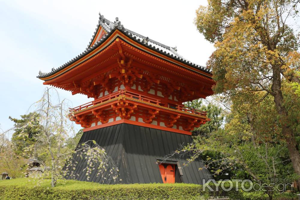 仁和寺 鐘桜