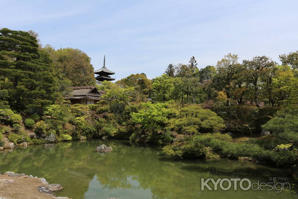 仁和寺 宸殿の北庭