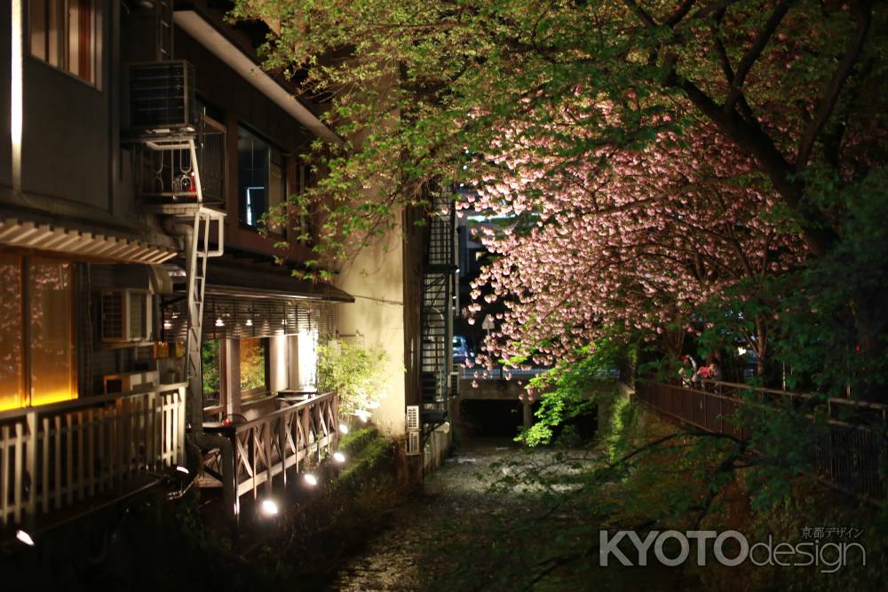 祇園白川　夜桜2