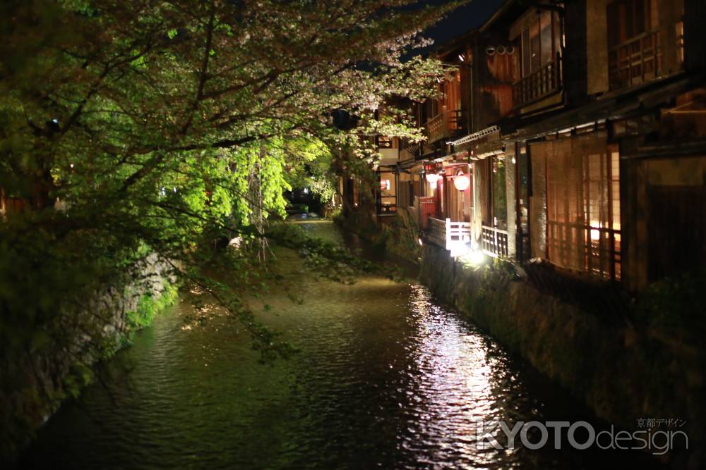 夜の祇園白川