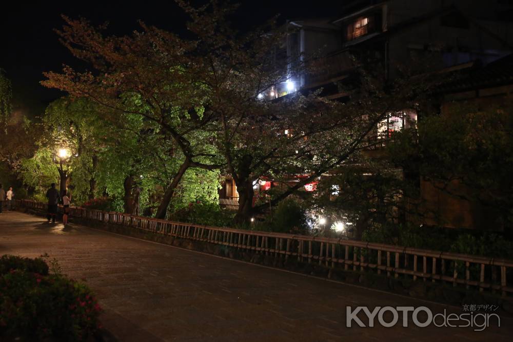 祇園白川　夜の佇まい4