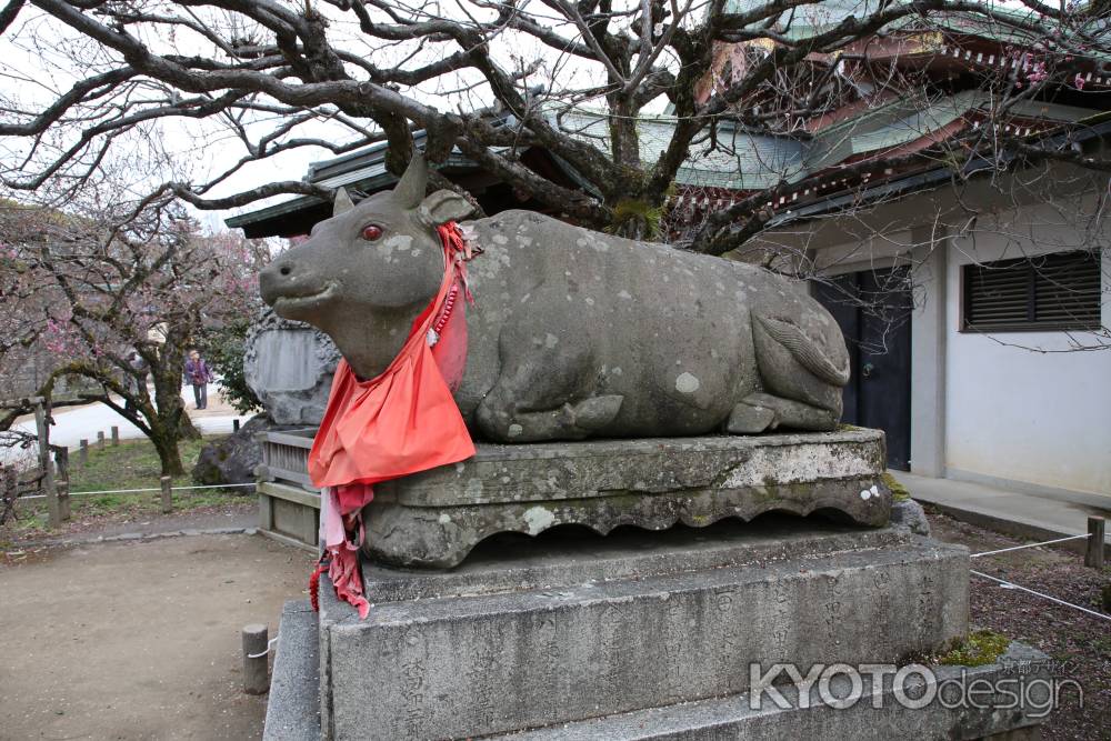 北野天満宮 臥牛の像