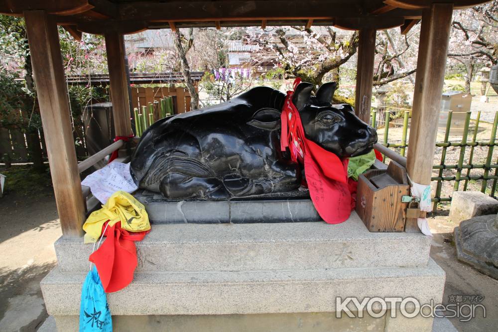 北野天満宮 神使