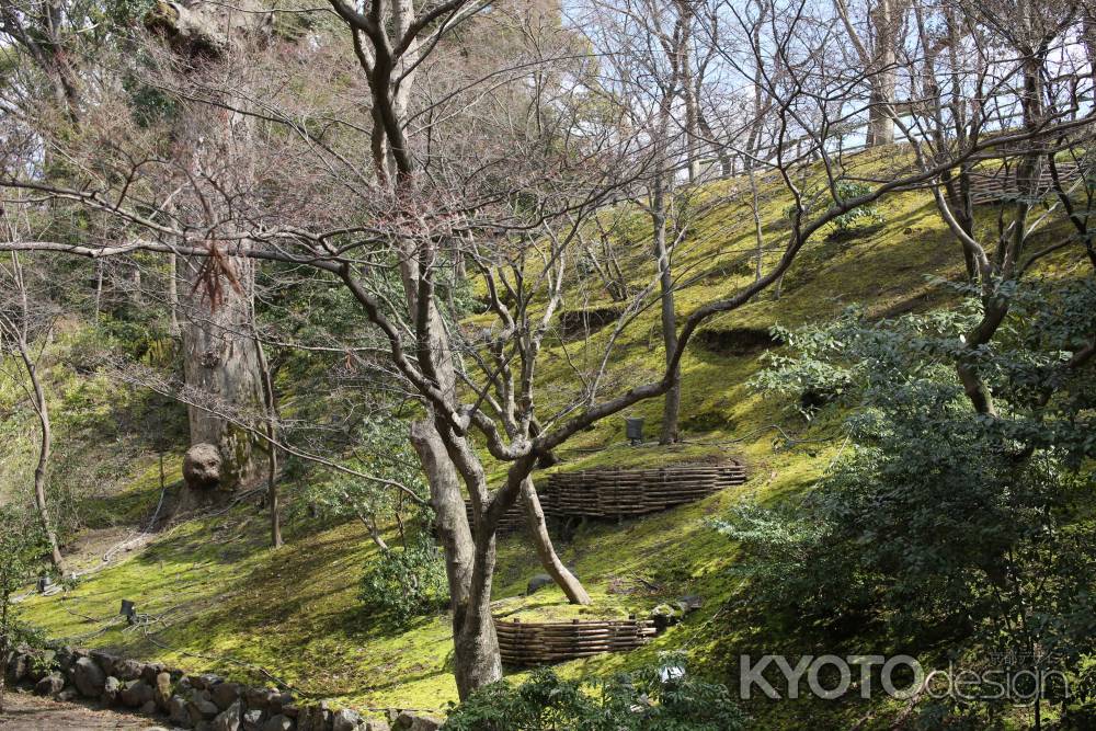 北野天満宮 御土居 ②