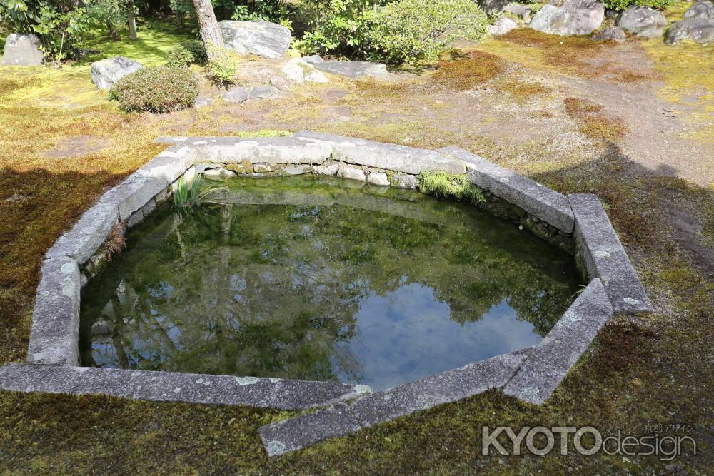 本法寺 巴の庭②