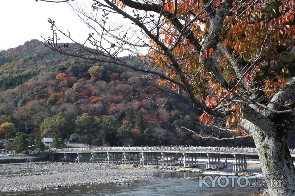 渡月橋と嵐山 1