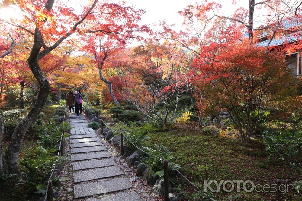 宝筐院18