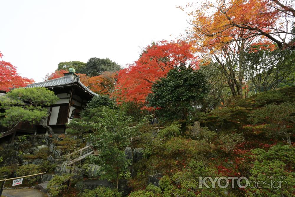 霊鑑寺8