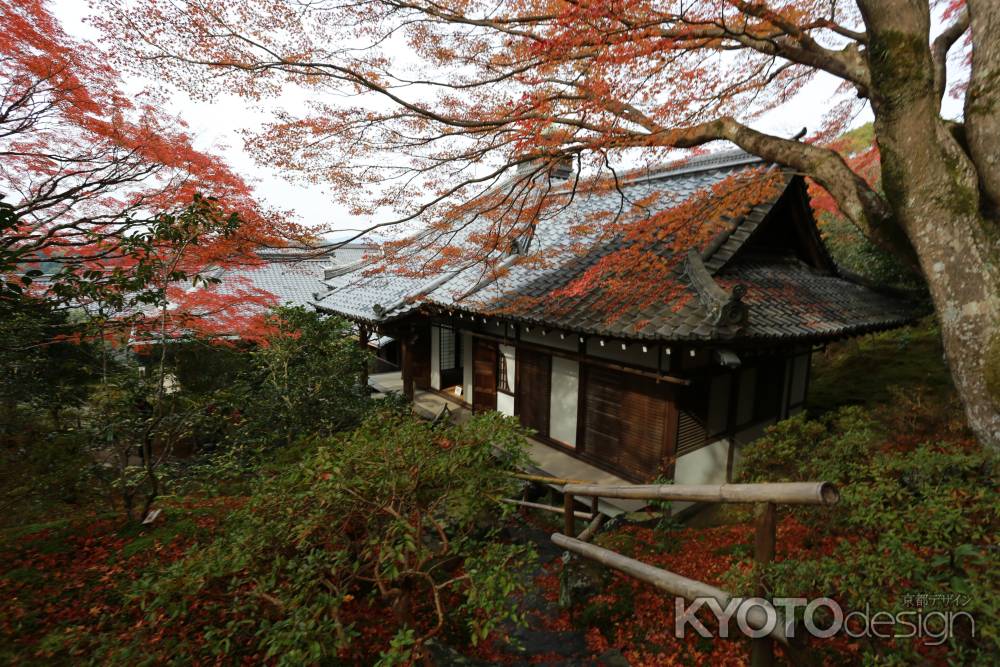 霊鑑寺13