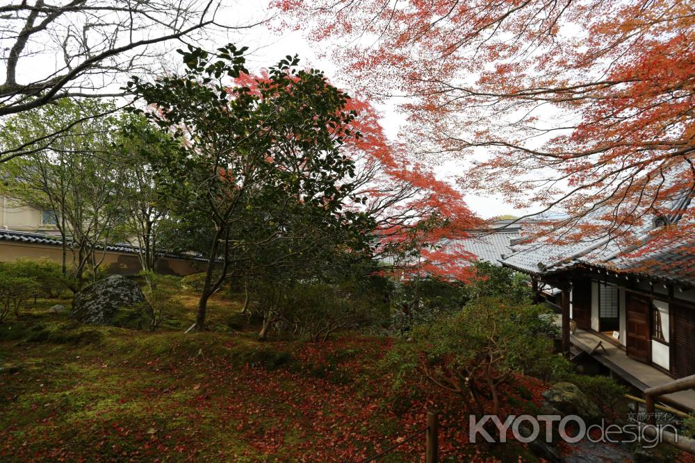 霊鑑寺15