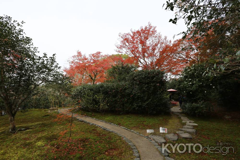 霊鑑寺17