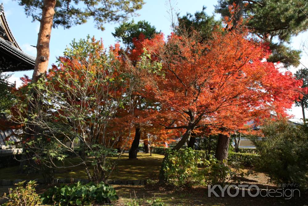 相国寺11