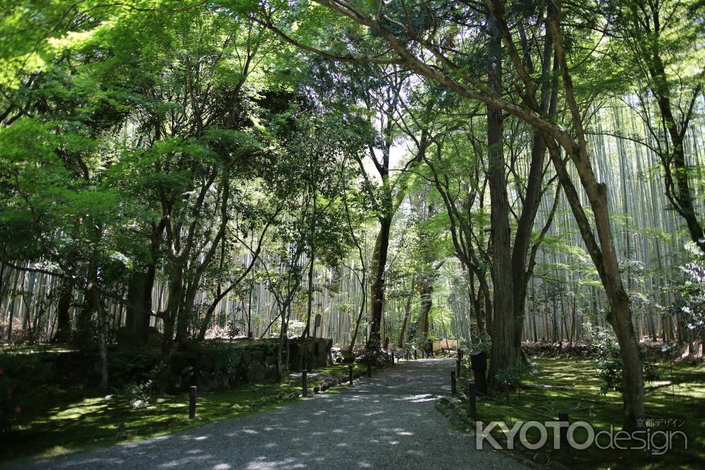 地蔵院 (竹の寺)11